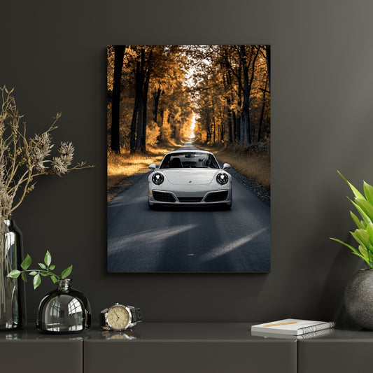 Porsche 911 Carrera - Autumn Pulse - Vaulted Arts